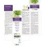 Zegepalm Moedertinctuur 120 ml alcoholvrije vloeistof - Naturalma