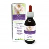 Guimauve officinale Teinture Mère 120 ml liquide sans alcool - Naturalma