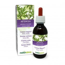 Common mugwort Mother tincture 120 ml alcohol-free liquid - Naturalma