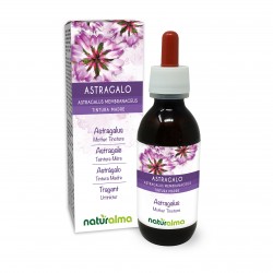 Astragale Teinture Mère 120 ml liquide sans alcool - Naturalma