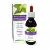 Weiß-Birke Urtinktur 120 ml alkoholfreie Flüssigkeit - Naturalma