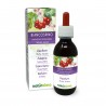Hagtorn Modertinktur 120 ml alkoholfri vätska - Naturalma