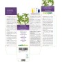 Artemisia Tintura madre 500 ml liquido analcoolico - Naturalma
