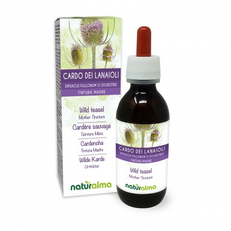 Wilde Karde Urtinktur 120 ml alkoholfreie Flüssigkeit - Naturalma