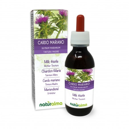 Mariendistel Urtinktur 120 ml alkoholfreie Flüssigkeit - Naturalma