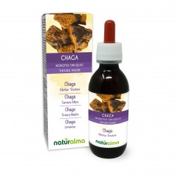 Błyskoporek podkorowy Nalewka macierzysta 120 ml płyn bezalkoholowy - Naturalma