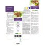 Noce Tintura madre 60 ml liquido analcoolico - Naturalma