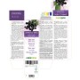 Sambuco nero Tintura madre 60 ml liquido analcoolico - Naturalma