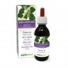 Klimop Moedertinctuur 120 ml alcoholvrije vloeistof - Naturalma