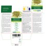 Finocchio 300 compresse (150 g) - Naturalma