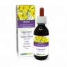 Hedge mustard Mother tincture 120 ml alcohol-free liquid - Naturalma