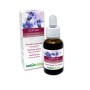 Gentian Fiori emozionali 30 ml liquido analcoolico - Naturalma
