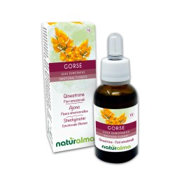 Gorse Fiori emozionali 30 ml liquido analcoolico - Naturalma Gorse Fiori emozionali 30 ml liquido analcoolico - Naturalma