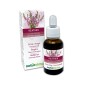 Heather Fiori di Bach 30 ml liquido analcoolico - Naturalma