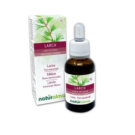 Larch Fiori emozionali 30 ml liquido analcoolico - Naturalma