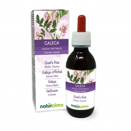 Geißraute Urtinktur 120 ml alkoholfreie Flüssigkeit - Naturalma