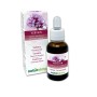 Vervain Fiori emozionali 30 ml liquido analcoolico - Naturalma