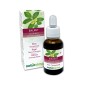 Walnut Fiori di Bach 30 ml liquido analcoolico - Naturalma