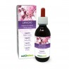 Lapacho Teinture Mère 120 ml liquide sans alcool - Naturalma
