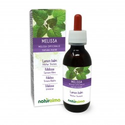 Melisa lekarska Nalewka macierzysta 120 ml płyn bezalkoholowy - Naturalma