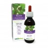 Melisse Urtinktur 120 ml alkoholfreie Flüssigkeit - Naturalma