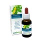 Agrimony Fiori emozionali o Fiori di Bach 30 ml liquido alcoolico - Naturalma