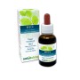 Beech Fiori emozionali o Fiori di Bach 30 ml liquido alcoolico - Naturalma