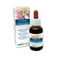 Centaury Fiori emozionali o Fiori di Bach 30 ml liquido alcoolico - Naturalma