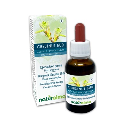 Chestnut Bud Fiori emozionali o Fiori di Bach 30 ml liquido alcoolico - Naturalma