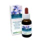 Gentian Fiori emozionali o Fiori di Bach 30 ml liquido alcoolico - Naturalma