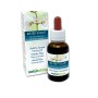 Water Violet Fiori emozionali o Fiori di Bach 30 ml liquido alcoolico - Naturalma