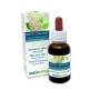 White Chestnut Fiori emozionali o Fiori di Bach 30 ml liquido alcoolico - Naturalma