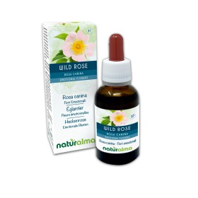 Wild Rose Fiori emozionali o Fiori di Bach 30 ml liquido alcoolico - Naturalma