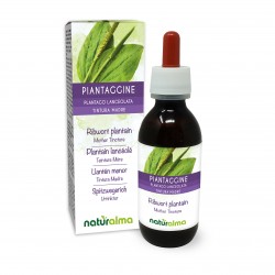 Spitzwegerich Urtinktur 120 ml alkoholfreie Flüssigkeit - Naturalma