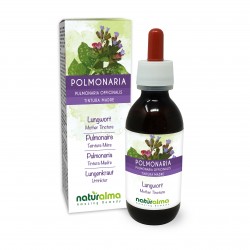 Lungenkraut Urtinktur 120 ml alkoholfreie Flüssigkeit - Naturalma