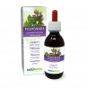 Lungenkraut Urtinktur 120 ml alkoholfreie Flüssigkeit - Naturalma