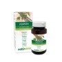 Liquirizia 120 compresse (60 g) - Naturalma