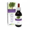 Rhubarbe Teinture Mère 120 ml liquide sans alcool - Naturalma