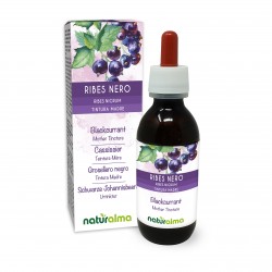 Schwarze Johannisbeere Urtinktur 120 ml alkoholfreie Flüssigkeit - Naturalma