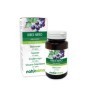 Zwarte bes 120 tabletten (60 g) - Naturalma