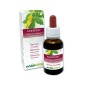 Agrimony Kwiaty emocji lub Kwiaty Bacha 30 ml płyn bezalkoholowy - Naturalma