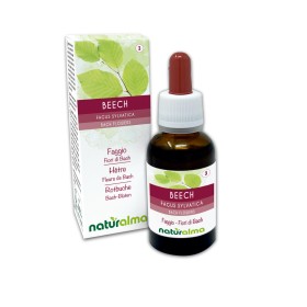 Beech Emotionale Blumen oder Bach-Blüten 30 ml alkoholfreie Flüssigkeit - Naturalma
