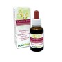 Chestnut bud Emotional flowers or Bach flowers 30 ml alcohol-free liquid - Naturalma
