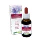 Chicory Fiori emozionali o Fiori di Bach 30 ml liquido analcoolico - Naturalma