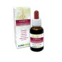Clematis Flores emocionales o Flores de Bach 30 ml líquido sin alcohol - Naturalma