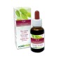Elm Emotional flowers or Bach flowers 30 ml alcohol-free liquid - Naturalma