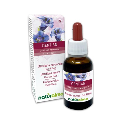 Gentian Fleurs émotionnelles ou Fleurs de Bach 30 ml liquide sans alcool - Naturalma