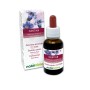 Gentian Fiori emozionali o Fiori di Bach 30 ml liquido analcoolico - Naturalma