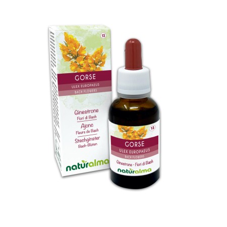 Gorse Fleurs émotionnelles ou Fleurs de Bach 30 ml liquide sans alcool - Naturalma