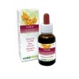 Gorse Fleurs émotionnelles ou Fleurs de Bach 30 ml liquide sans alcool - Naturalma
